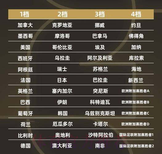 世界杯球队名单准不准